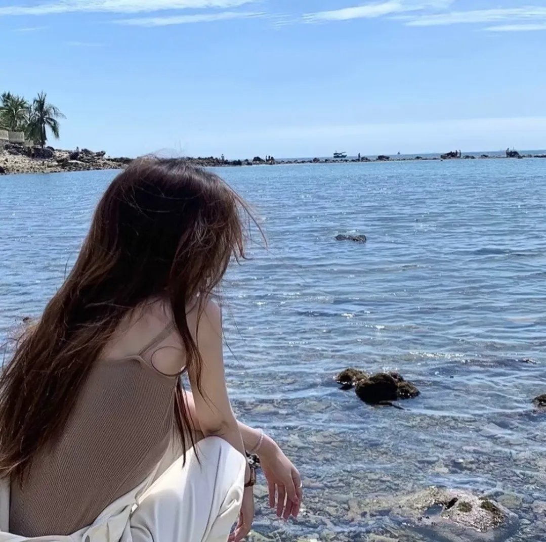 龙虎干戈