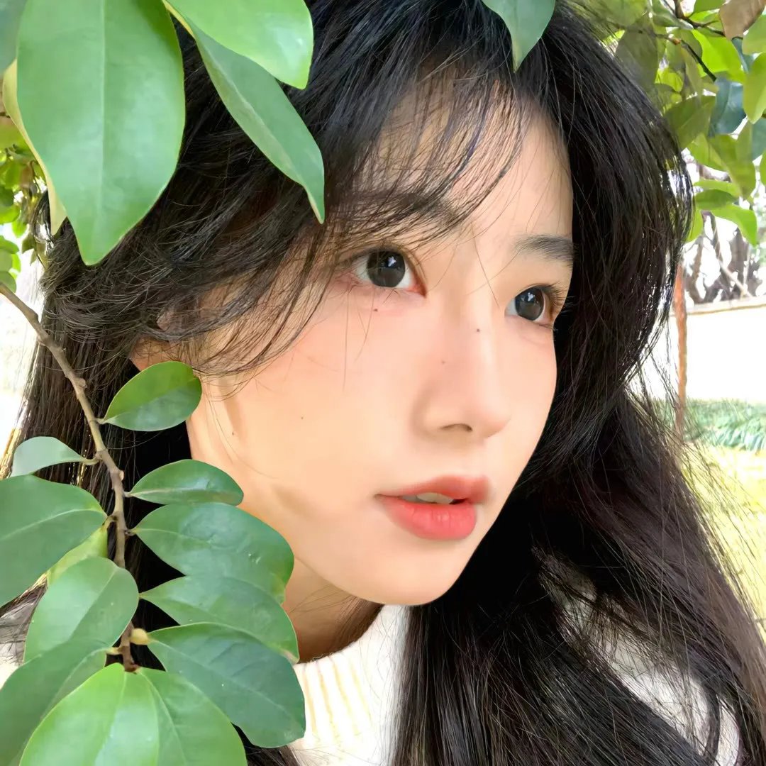圣诞精灵
